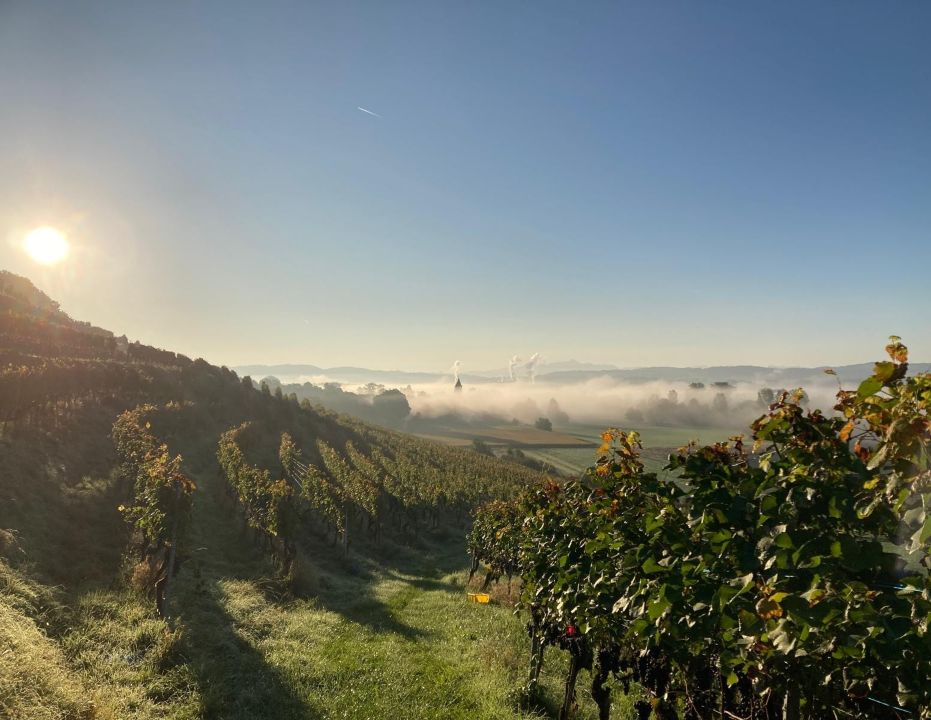 Was für eine Aussicht!!