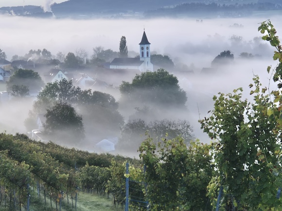 Nebel über Uesslingen