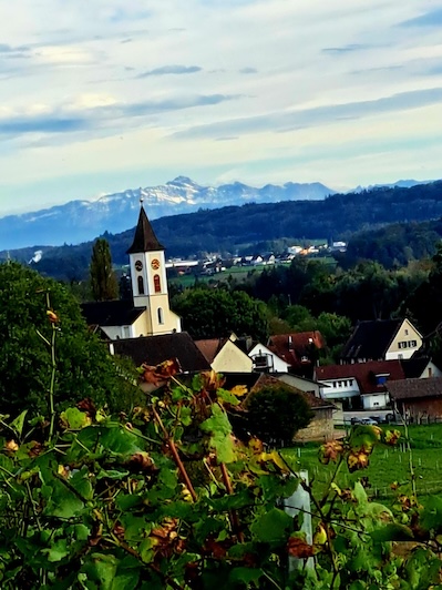 Ein Blick auf Uesslingen