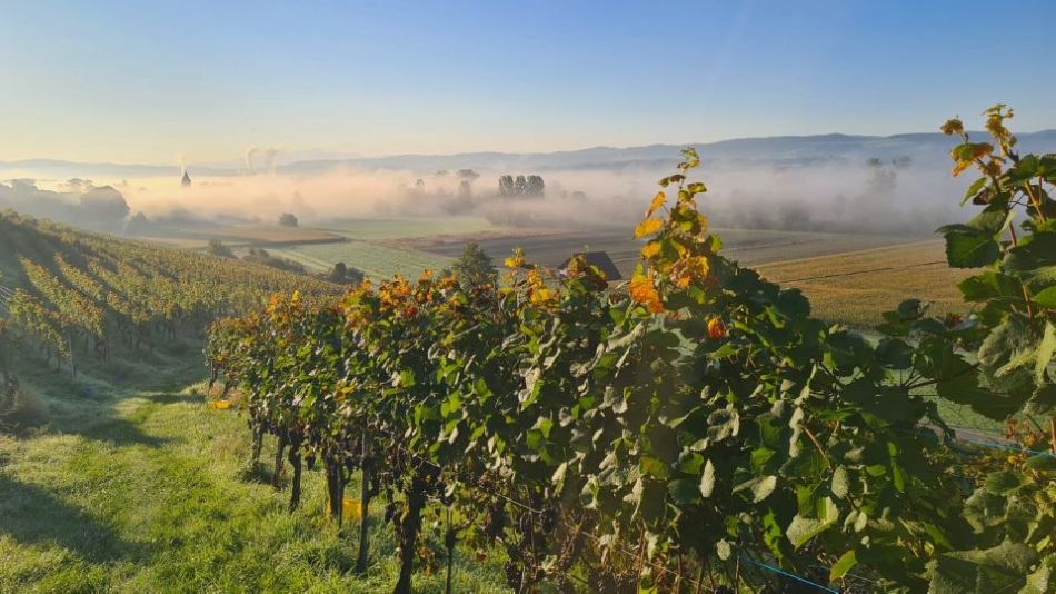 ein wunderschönes Bild!