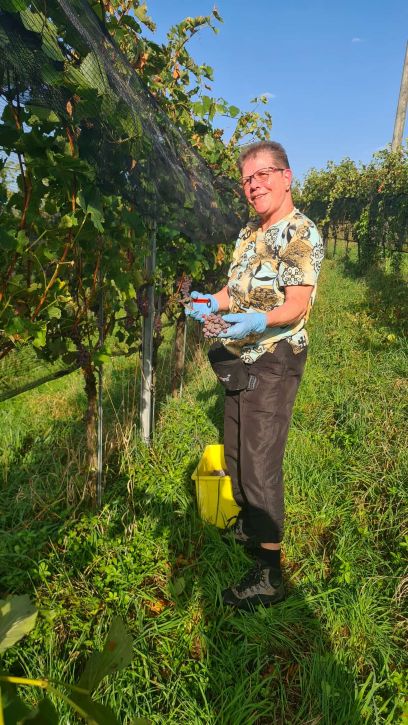 Rosmarie gefällt es im Rebberg