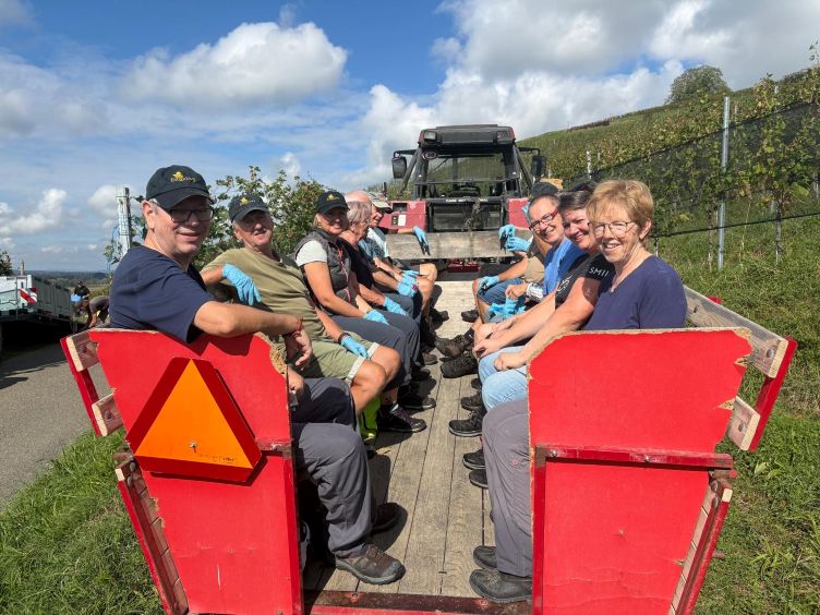 das heutige Wümmerteam