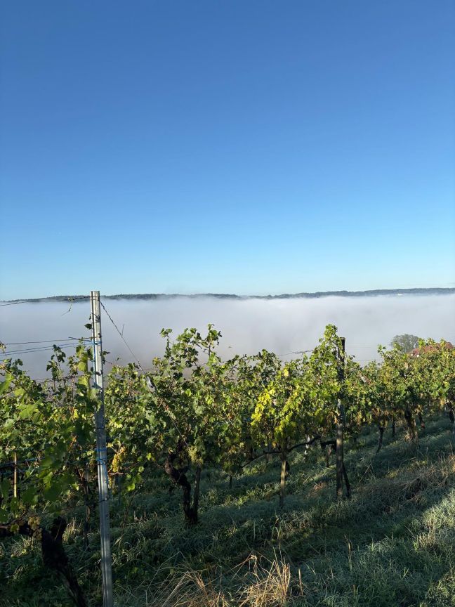 schönste Morgenstimmung