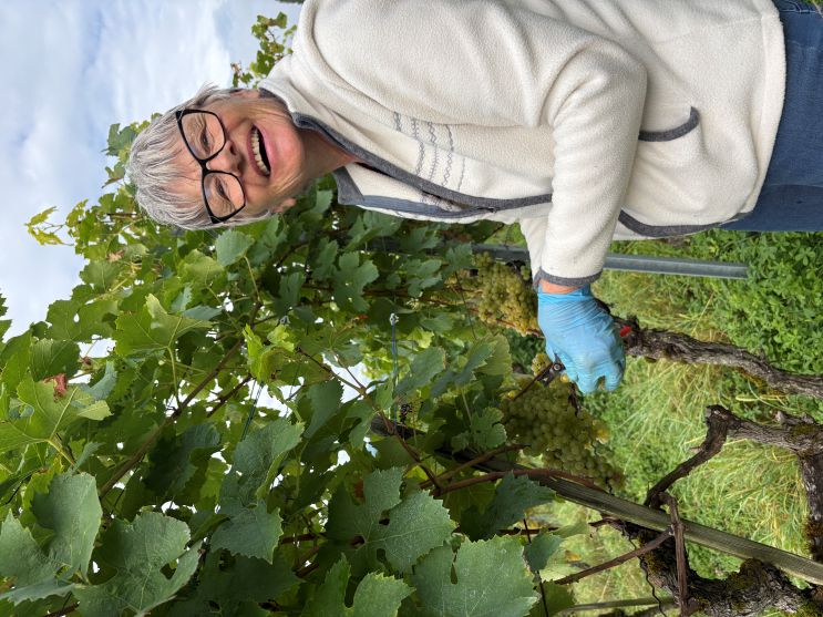 Ruth gefällt es sehr im Rebberg