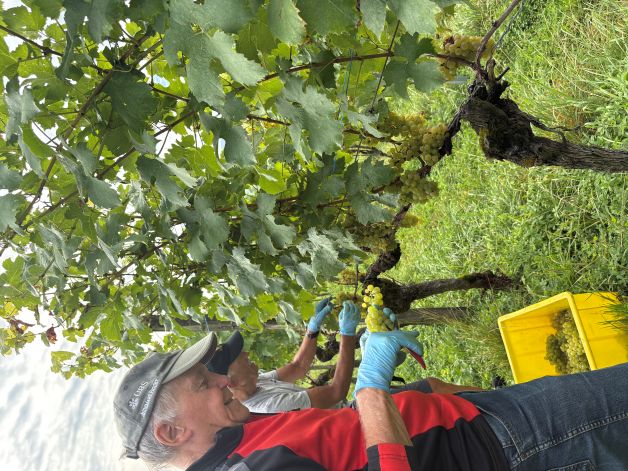 Werner gefällt seine Arbeit