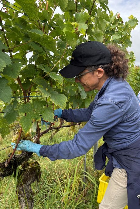 Auch Fides gefällt es im Rebberg