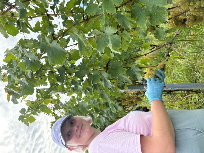 Stella bei der Arbeit