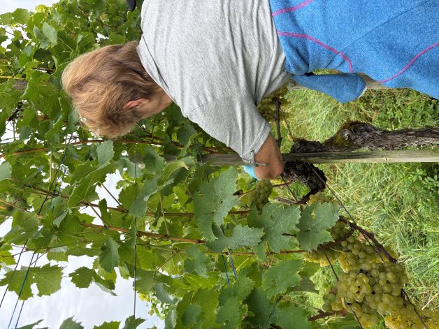 Paula bei der Arbeit