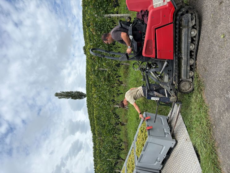 Farran und Alexandru arbeiten hart