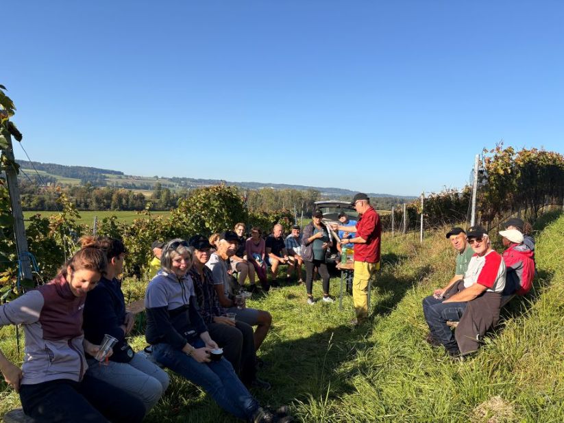 ...die Sonne am geniessen