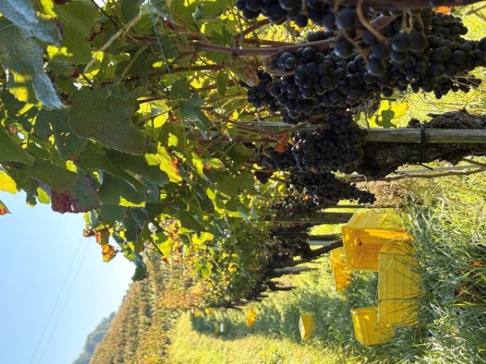 Die Kisten stehen bereit