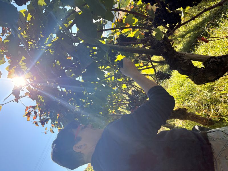 Gaby im Sonnenschein