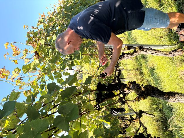 Stefan ist konzentriert