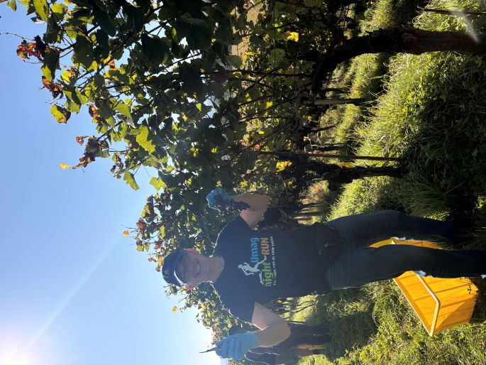 Sämi präsentiert stolz die schönen Trauben