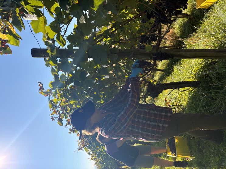 Vreni ist konzentriert