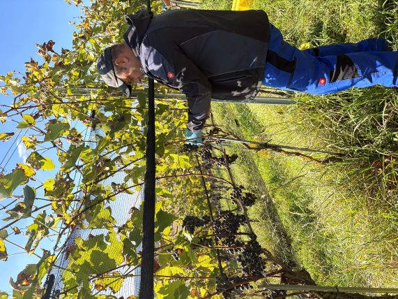 Alexandru an der Arbeit