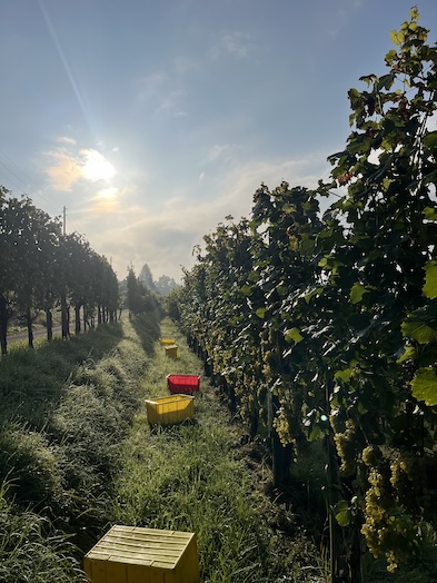 Wunderschöne Morgenstimmung